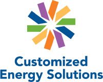 Customized Energy Solutions India Pvt. Ltd.