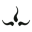 Prana