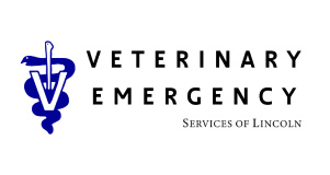 Veterinary Emergency Services of Lincoln