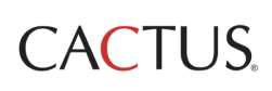 CACTUS AI Solutions