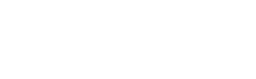 Ontic