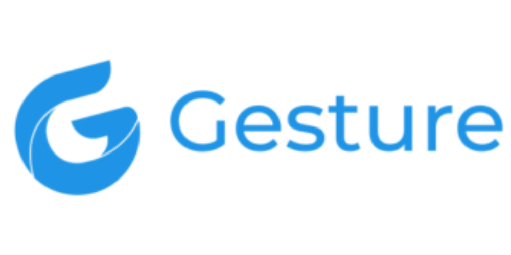 Gesture