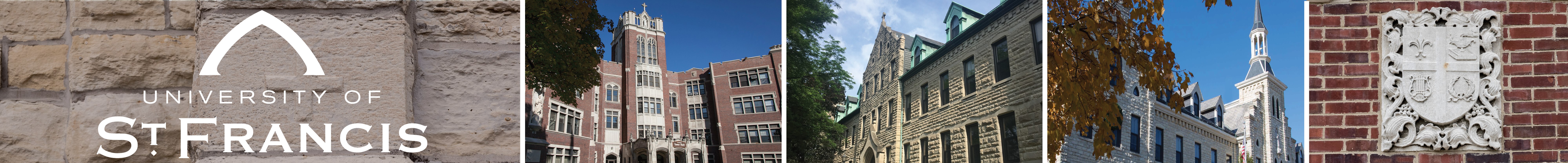 University of St. Francis