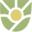 Chaparral Medical Group
