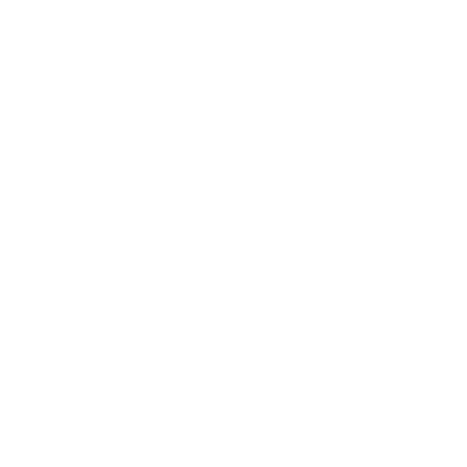 BRP-Rotax