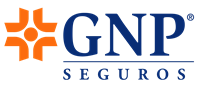 GNP