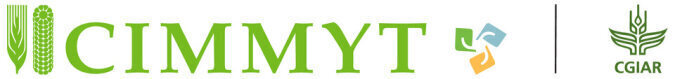 CIMMYT