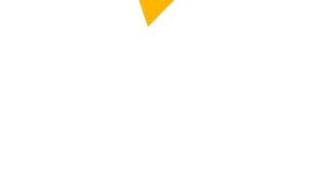Maven Insights & Solutions