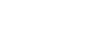 LSI