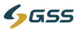 GSS Tech Group