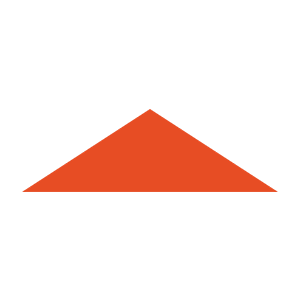 Delphi Consulting