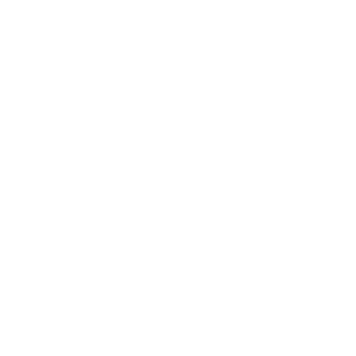 Turning Point Action