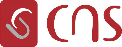 CNS Engineering Service