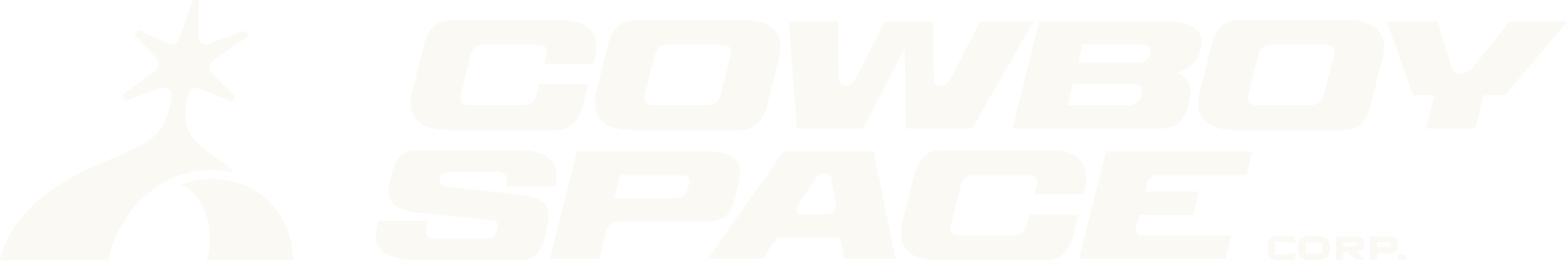 Cowboy Space Corp.