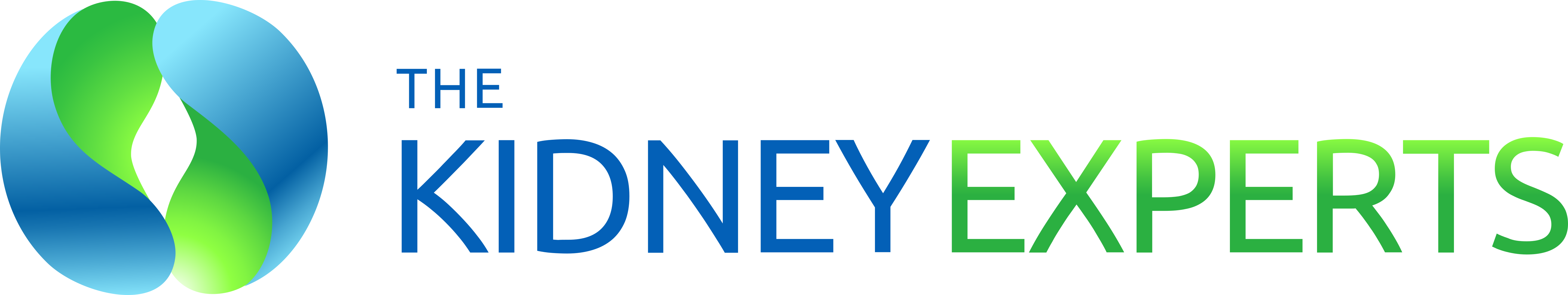 The Kidney Experts, PLLC