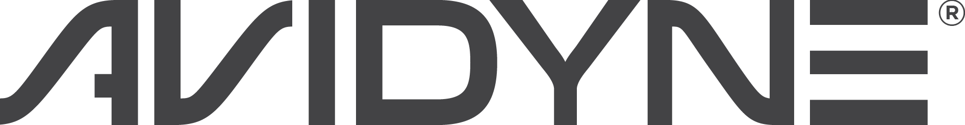 Avidyne